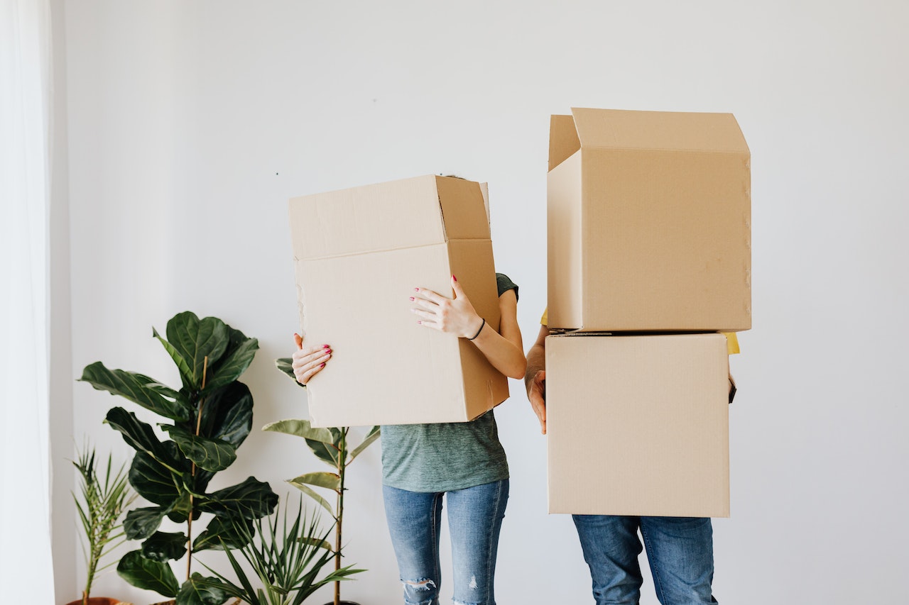 people holding moving boxes